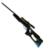 Gamo Recon break barrel .177 pellet gun with 4 x 20 Gamo scope, fluted barrel, thumb hole stock