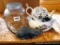 Glass canister; remote control rat, hopefully just needs batteries; Teleflora teapot/planter; other