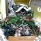 Assortment of holiday garland, greenery, swag, etc. Newer white beaded garland is approx. 3';