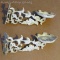 Set of 2 matching cast metal oil lamp wall mounts; measures 4-1/2