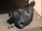 Resin fish for a water fountain or similar is 5