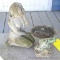 Concrete lady yard decoration and a frog bird bath. Bird bath has some chips and cracks as pictured;