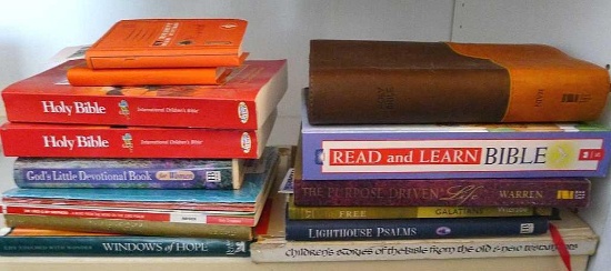 Two International Children's Bibles; Read and Learn Bible; NIV leather bound Bible; Children's