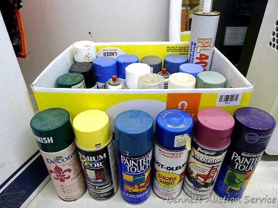 No shipping. Full and partial cans of spray paint, silicone spray, large tube of PL400 adhesive.
