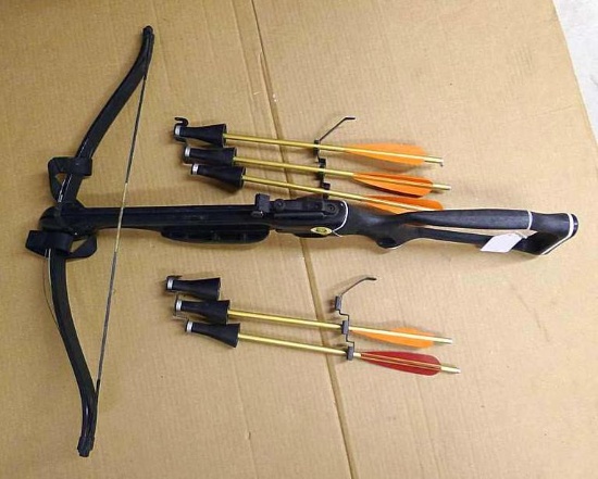 Barnett Wildcat XL compound bow with 150 lb draw, 5 bolts and original pamphlet.