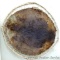 Hoop stretched beaver pelt is approx. 36