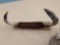 Longhorn cattle horn mount is nearly 37