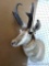 Nice antelope mount is about 35