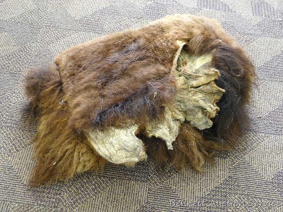 Dried Bison hide is stiff, measures about 24" x 17" as pictured.