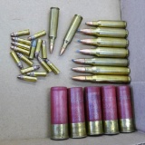 Assorted ammunition incl .22-250 Rem, .300 WSM, .22 LR, 12 gauge slug, plus a buck deer coffee mug.