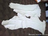 Two nice tanned leather cow hides measure around 77