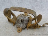 Victor No. 2 double coil spring fox trap is about 6