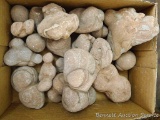 Box of Lake Superior concretions aprox. 10
