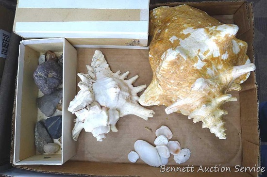Arrow heads, conch shell, rocks some polished and unpolished, other shells, and more. Arrow heads