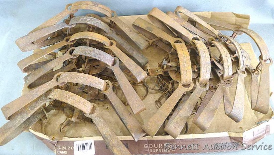 11 Victor No. 2 double long spring animal traps measures approx.. 14" long.