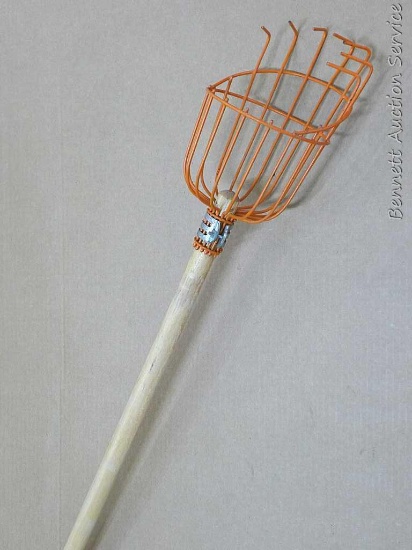 Fruit picker is about 8-1/2' long.