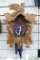 Seller notes West German one day cuckoo clock. Measures about 13'' over trim on front and looks to