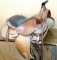 Smaller sized horse saddle in nice condition. Leather under straps are softer yet, some starting to