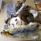 Tanned rabbit hides, other pieces of scrap fur and more. Tanned hides are approx. 10