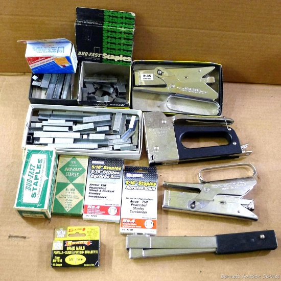 Two Arrow P-35 staplers, Power Fast stapler, swing stapler and a quantity of staples.