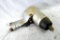 Rockwell Model 2210 impact wrench, 1/2