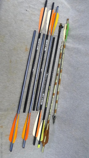 Handful of arrow/crossbow bolts including Eastman, Horton, and North American Hunter and also