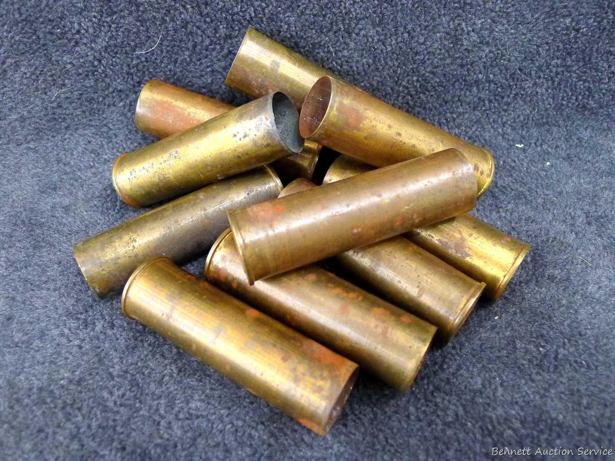 10 pieces of ACME 10 gauge brass shotshell cases