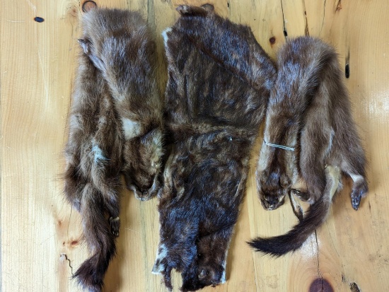 2 mink furs still retain paws and face, plus another darker hide. Longest is 30" long to tip of tail