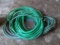 Two garden hoses look in decent condition. One looks like maybe 50 ft, other is shorter.