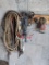Lead ropes, four prong hooks are 12