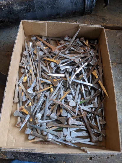 Horse shoe nails, most measure 2 1/2" long.