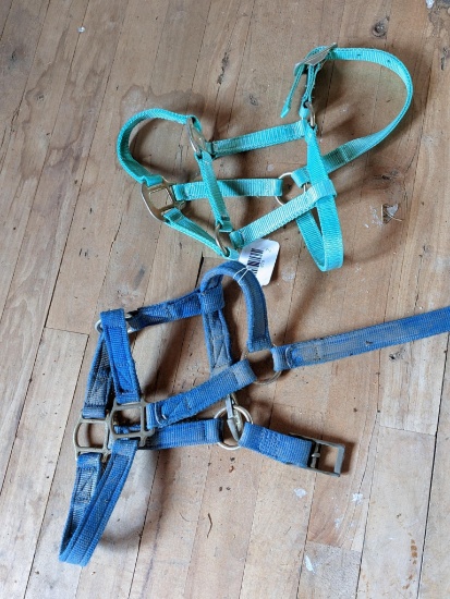 Upstairs, bring help. Two smaller halters, maybe for colts.
