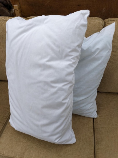 Two feather pillows are in very good condition.
