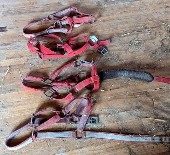Upstairs, bring help. Four draft horse halters.