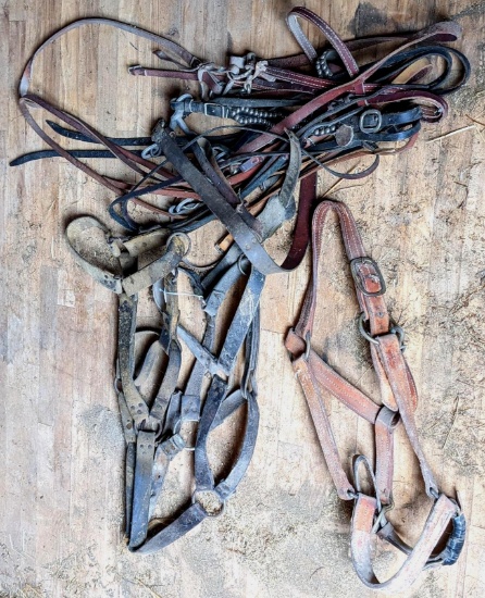 Upstairs, bring help. Work horse size leather halters, bridles and more.