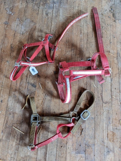 Upstairs, bring help. Three newer nylon work horse halters. Two are fairly new.