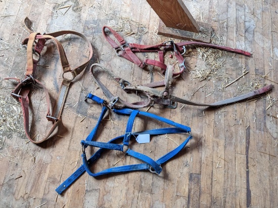 Upstairs, bring help. Four nylon draft horse halters.