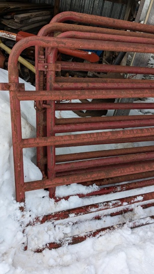 Four 12' x 4' steel tube swinging fence gates.