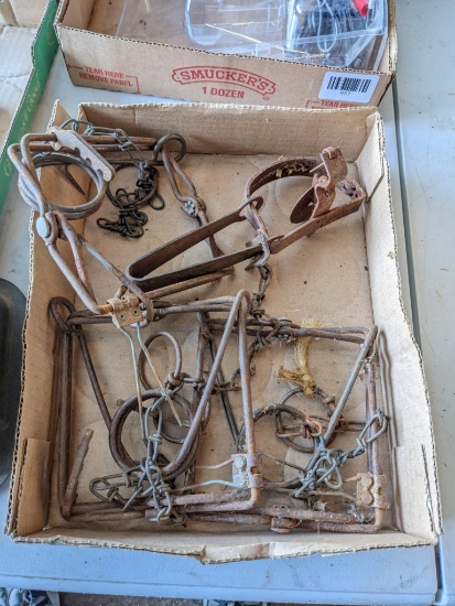 Three 110 conibear traps and a Victor spring trap.