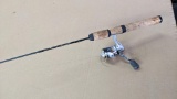 Fenwick Eagle GT one-piece graphite IM6 fishing rod with a Shimano Sahara fishing reel. Rod is about
