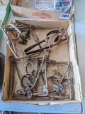 Three 110 conibear traps and a Victor spring trap.