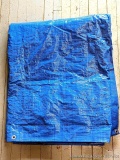 Nice blue tarp is approx 8'x10' and is in very good condition with a small rust stain.