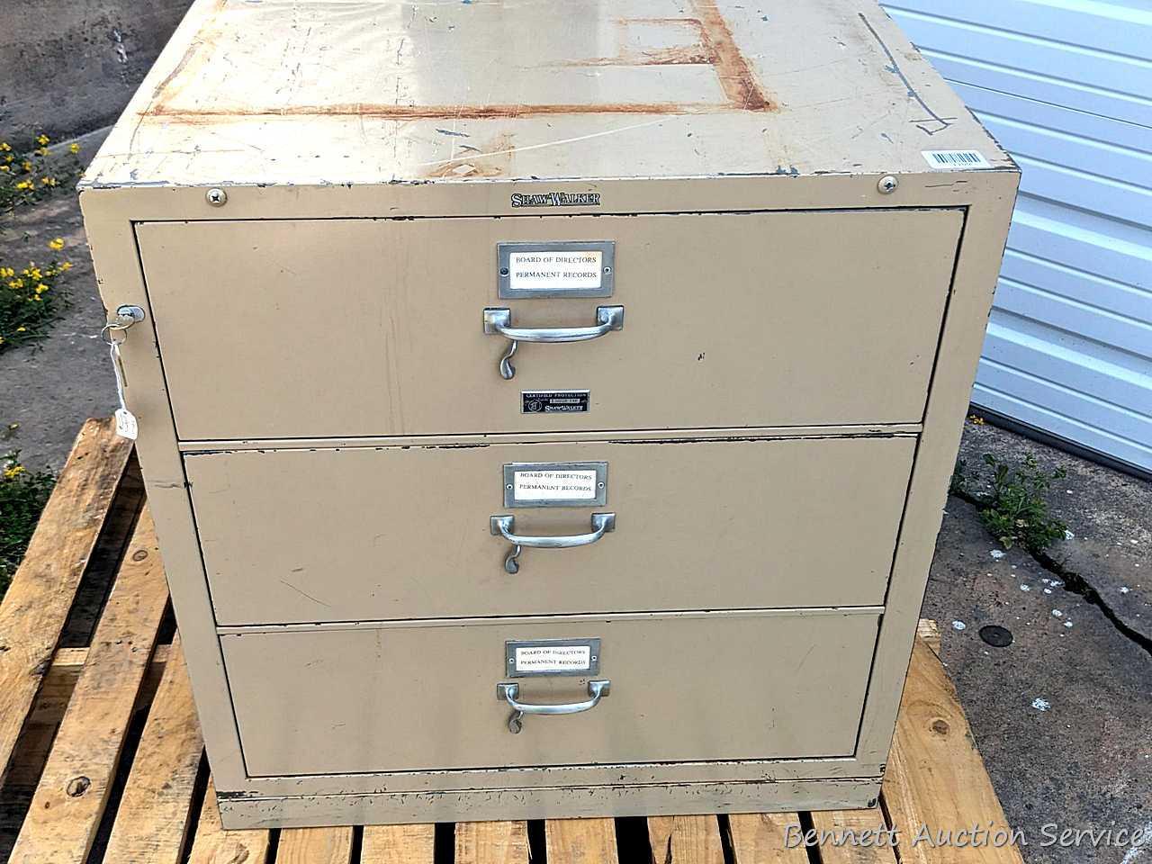 Shaw Walker Fireproof File Matttroy