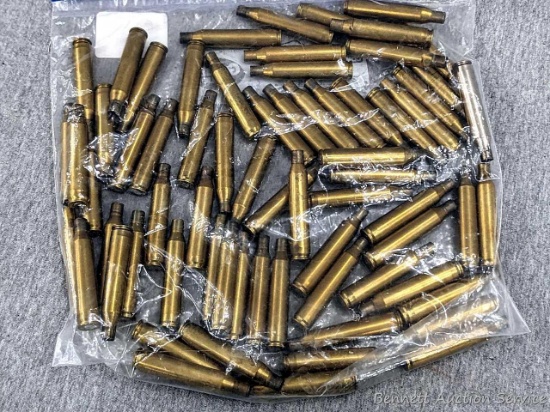 Hornady, FC, possibly other names of .25-06 Rem brass. RCBS .25-06 reloading dies in lot 709.
