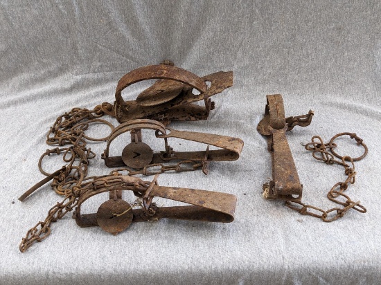 Four Victor traps, largest is 9" long overall.