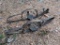 Pair of double long spring traps approx. 1-1/2'.