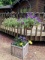 5' double shepherd's hook in a pretty planter, plus two hanging baskets. Very pretty display.