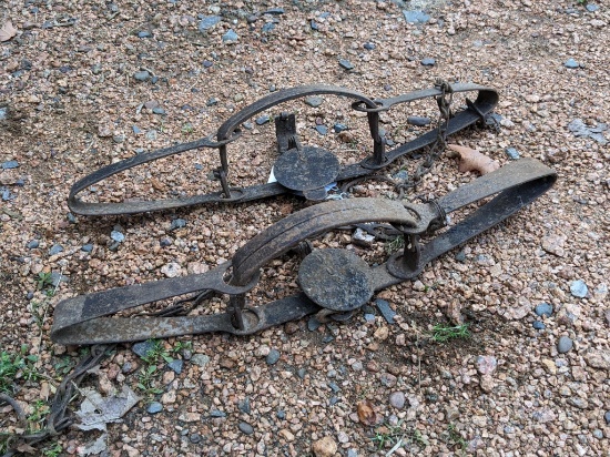 Pair of double long spring traps approx. 1-1/2'.