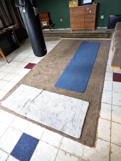 12' x 6-1/2' area rug or carpet remnant, plus another runner and throw rug.