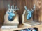 Nice pair of Whitetail deer book ends are 8